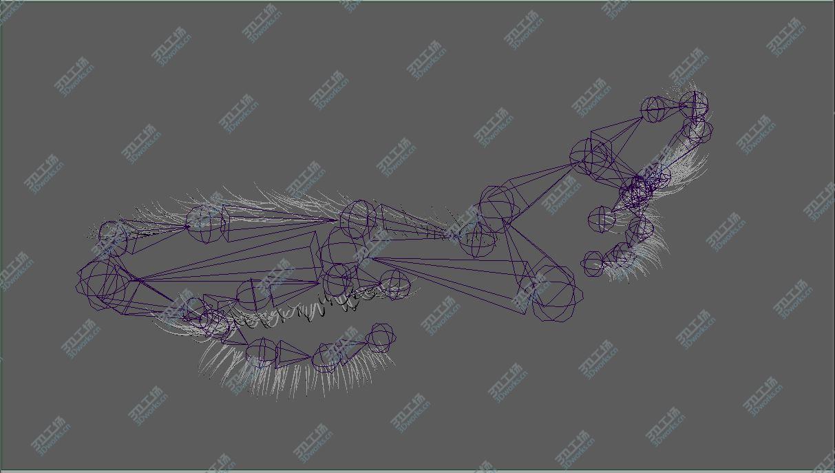 images/goods_img/202104022/Eyelashes & Eyebrows Rigged/4.jpg